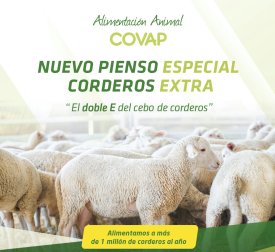 Doble E del cebo de corderos | COVAP