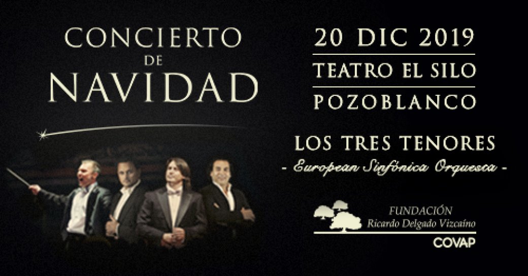 Concierto de Navidad Fundación Ricardo Delgado Vizcaíno 2020