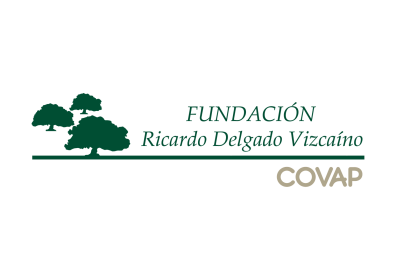 Premios Bachillerato 2020 FRDV | COVAP