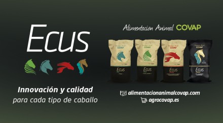 COVAP Alimentación Animal launches Ecus Power+ to improve the  performance of competition horses