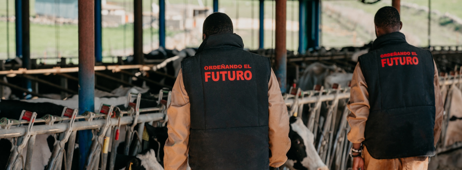 Junto a Cruz Roja, formamos a trabajadores de Mali y Senegal para la continuidad de las producciones ganaderas