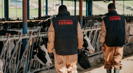 Junto a Cruz Roja, formamos a trabajadores de Mali y Senegal para la continuidad de las producciones ganaderas