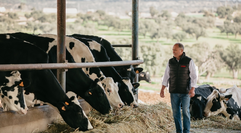 Reducimos más de un 18 % la huella de carbono en cada litro de la leche de vaca que producimos