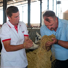Dos hombres analizan la paja que será alimento para las vacas