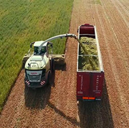 Sustainable agriculture