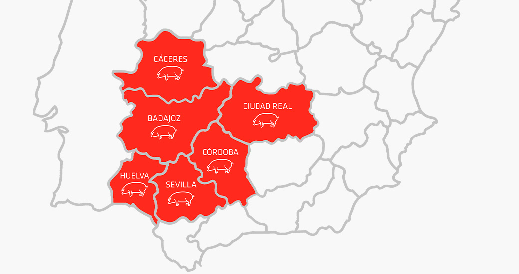 Mapa político de España