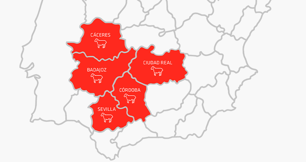 Mapa político de la empresa