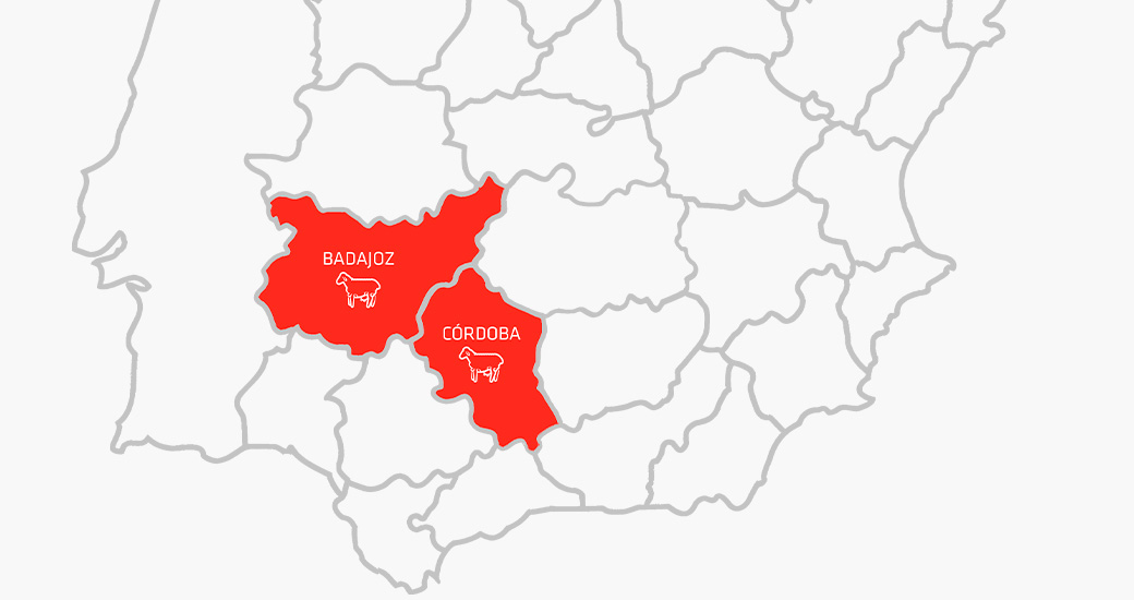 Mapa político de España