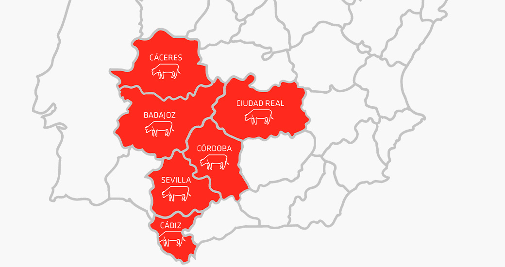 Mapa político de España