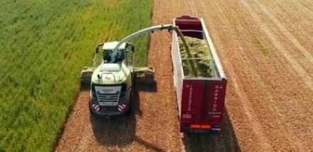 Tractor haciendo la recogida de trigo