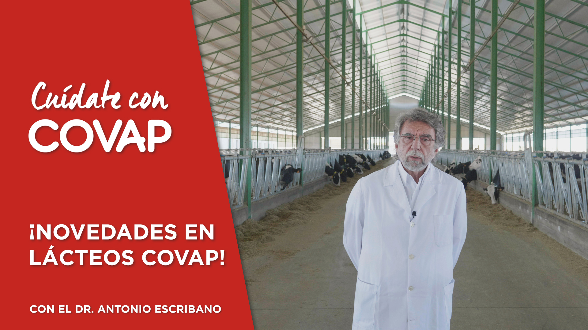 Cuídate con COVAP: Novedades en Lácteos COVAP | COVAP